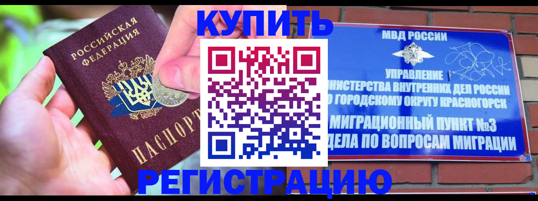 прописка законно в Коряжме